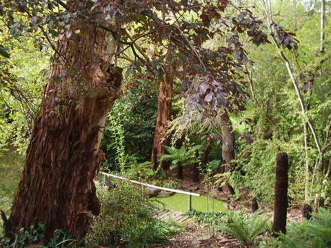 Hilltop - Tweed Heads Accommodation 3