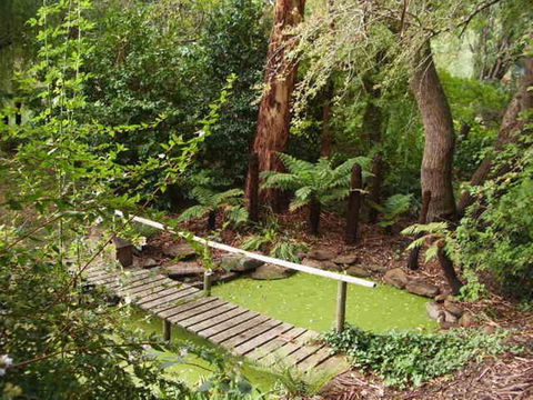 Hilltop - Tweed Heads Accommodation 6