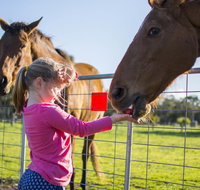 Freshwater Creek Cottages and Farm Stay - Tweed Heads Accommodation