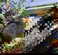 Big4 Shepparton Park Lane - Tweed Heads Accommodation