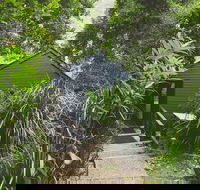 Montagues of Montville - Tweed Heads Accommodation