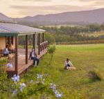 Hanging Tree Wines - Tweed Heads Accommodation