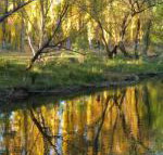 On The Banks - Tweed Heads Accommodation
