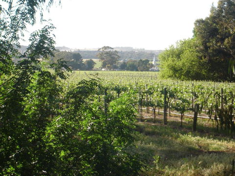 Stephanettes Cottage - Tweed Heads Accommodation 4