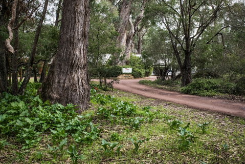 Inn The Tuarts Guest Lodge Busselton - Tweed Heads Accommodation 2