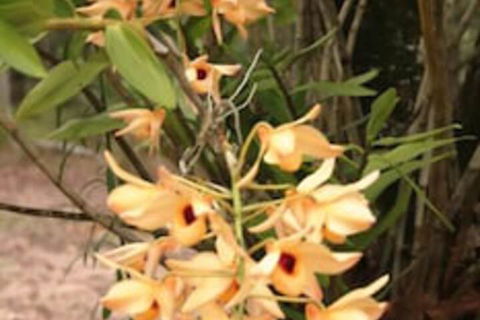 Crookneck Retreat - Tweed Heads Accommodation 2