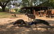Clandulla Cottages - thumb 3