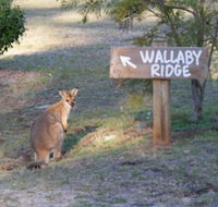 Wallaby Ridge Retreat - Tweed Heads Accommodation