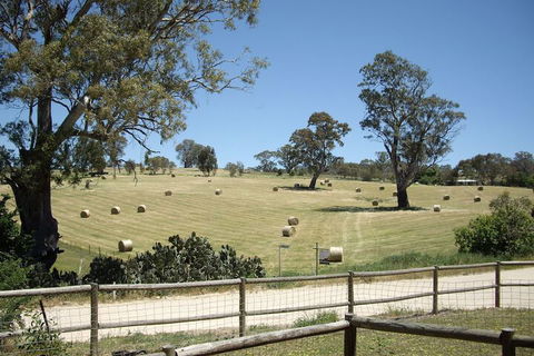 1860 Wine Country Cottages - Tweed Heads Accommodation 4