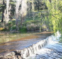 Avocados Accommodation - Tweed Heads Accommodation