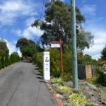 Protea Hill - Tweed Heads Accommodation 0