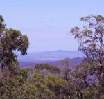 Ravensbourne Escape Cedar Lodge - Tweed Heads Accommodation
