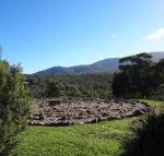 Hawksview at Mafeking - Tweed Heads Accommodation