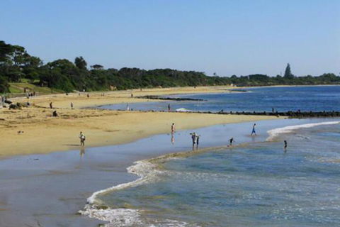 Roseneath Villa B & B - Tweed Heads Accommodation 5