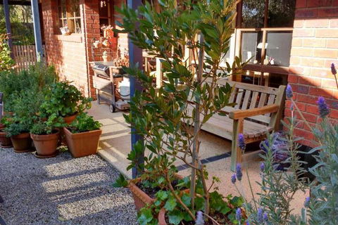 Roseneath Villa B & B - Tweed Heads Accommodation 2