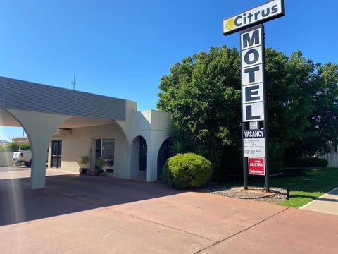 Citrus Motel - Tweed Heads Accommodation 0