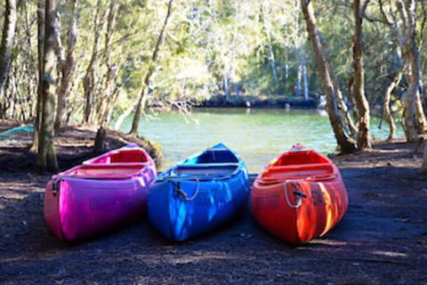 Jervis Bay Cabins & Hidden Creek Campsite - Tweed Heads Accommodation 0