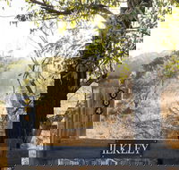 Ilkley Cottages - Tweed Heads Accommodation