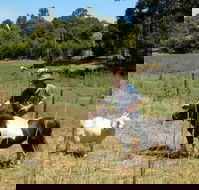 Country Cottages of Bridgetown - Tweed Heads Accommodation