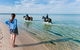 Sailaway Beach House - thumb 6