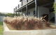 Ocean Beach House - thumb 3
