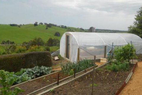 Emerald Hills Cottage - Tweed Heads Accommodation 7