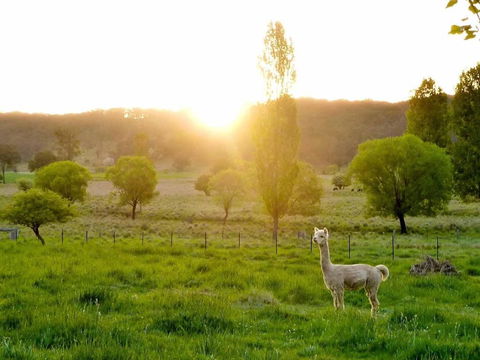 Glen Waverly Farmstay - Tweed Heads Accommodation 6