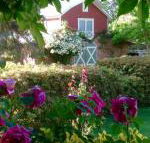 A Country Barn Retreat - Tweed Heads Accommodation