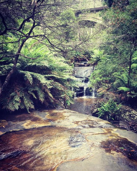 Highland Cottage - Tweed Heads Accommodation 2