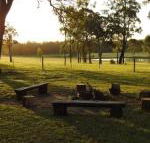 Wallaby Cottage cute Accom in bushland setting - Tweed Heads Accommodation