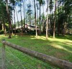 Fernglade on Menzies - Tweed Heads Accommodation