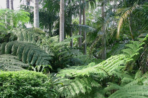 Amore Mt Tamborine - Tweed Heads Accommodation 1