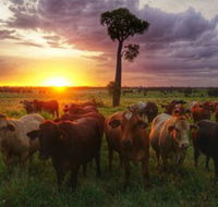 Myella Farm Stay - Tweed Heads Accommodation