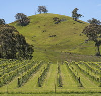 Blue House at Mountainside Wines - Tweed Heads Accommodation