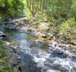 Tallaringa Views - Tweed Heads Accommodation