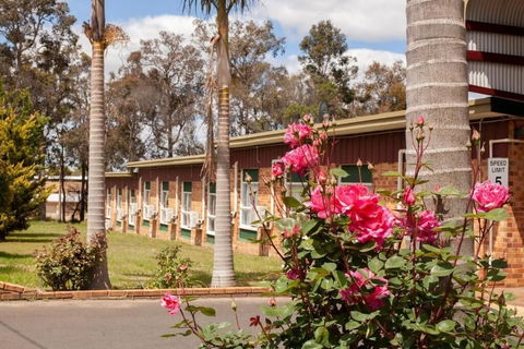 Manjimup Motor Inn - Tweed Heads Accommodation 1