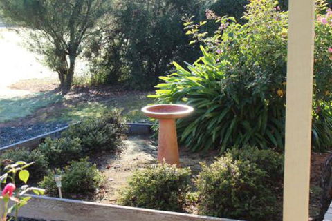 Elinike Guest Cottages - Tweed Heads Accommodation 4
