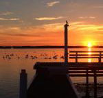 Bayview Boathouse - Tweed Heads Accommodation