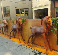 Four Ponies - Tweed Heads Accommodation