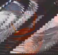 Pavilion Cafe  Bar - Tweed Heads Accommodation