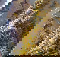 Horsham Masala Indian Restaurant - Tweed Heads Accommodation