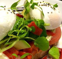 Wild Canary - Tweed Heads Accommodation