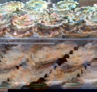 Red Fox Coffee Lounge - Tweed Heads Accommodation