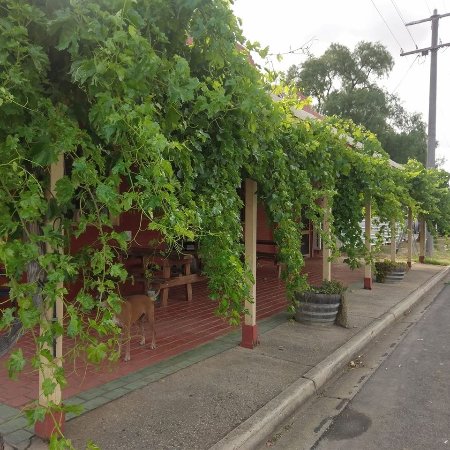 Landsborough ACT Tweed Heads Accommodation