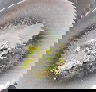 Hampden Deli Dining and School - Tweed Heads Accommodation