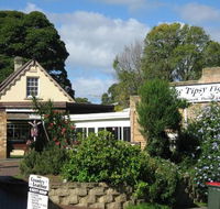 Tipsy Fig - Tweed Heads Accommodation