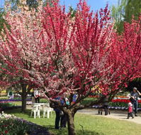 Mirchi Indian Cuisine - Tweed Heads Accommodation