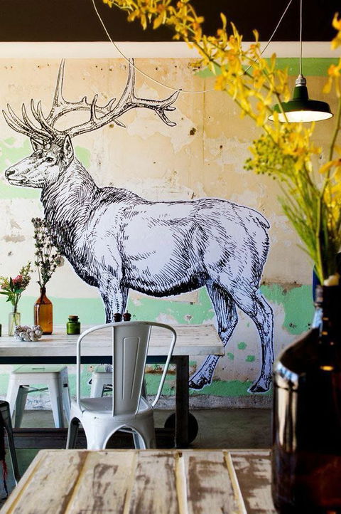 Elk Espresso - Tweed Heads Accommodation 0