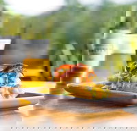 Hello Harry - Ascot  Hamilton - Tweed Heads Accommodation