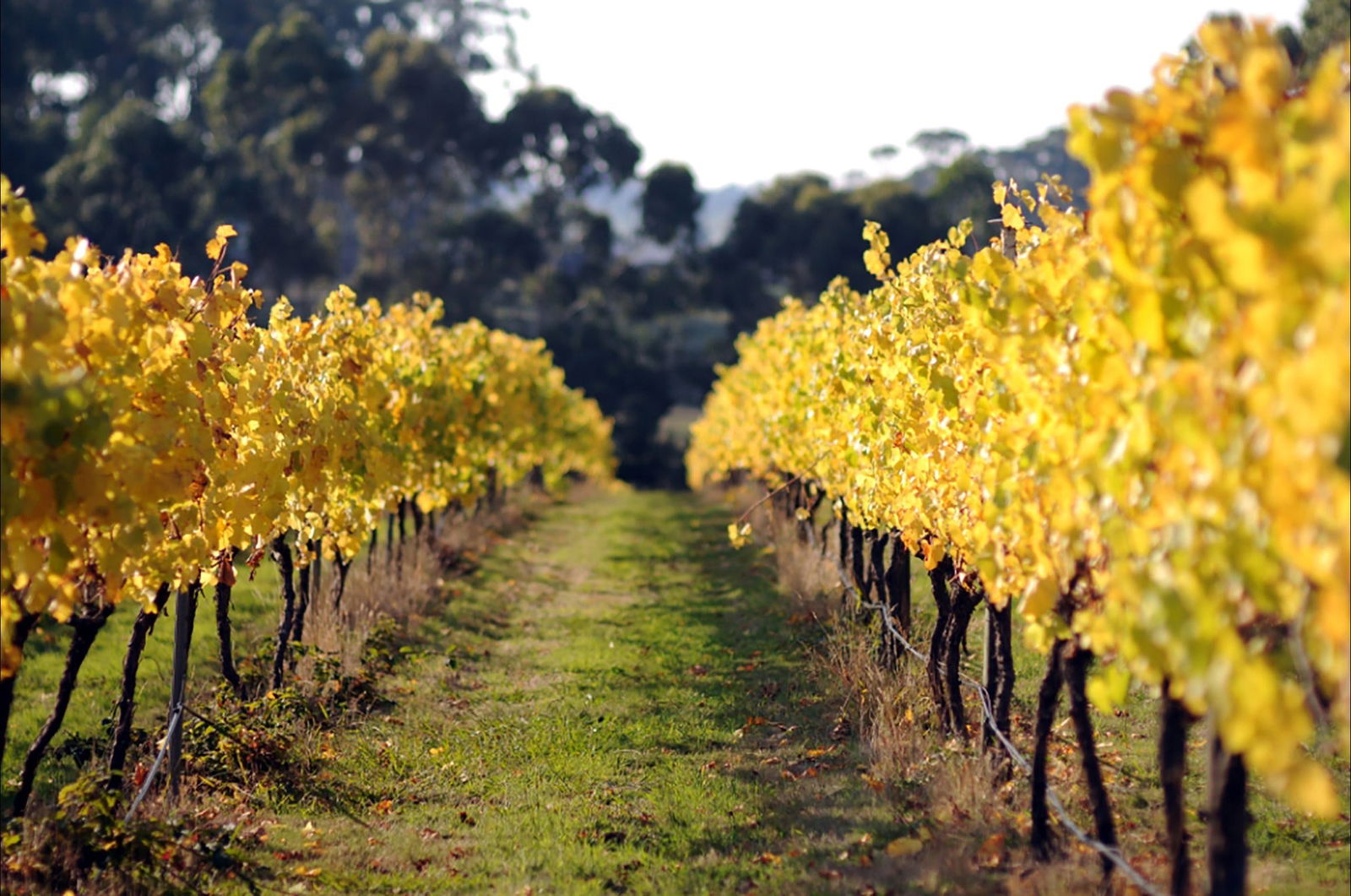  Tweed Heads Accommodation